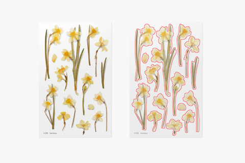 Pressed Flower Sticker [Narcissus] | Printed Dried Flower Sticker