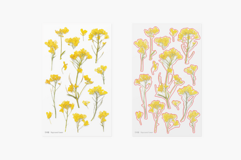 Pressed Flower Sticker [Rapeseed Flower] | Printed Dried Flower Sticker