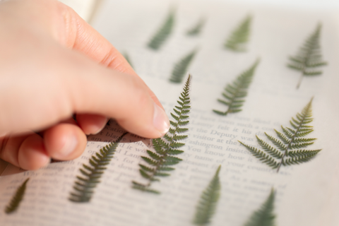 Pressed Flower Sticker [Bracken] | Printed Dried Flower Sticker