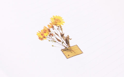 Rub-on Flower Sticker [Botanical Yellow] | Printed Dried Flower Sticker