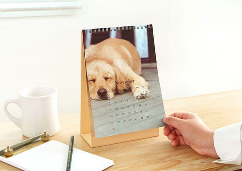 2026 Mind Snap Desk Calendar [2types]