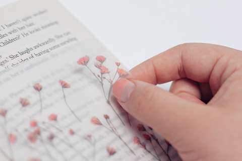 Pressed Flower Sticker [Baby's breath] | Gypsophila Printed Dried Flower Sticker