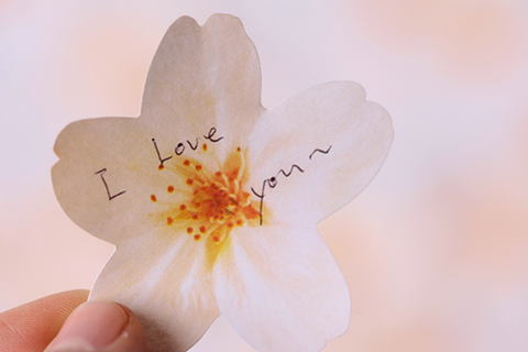 Cherry Blossom Sticky Notes L [2colors]