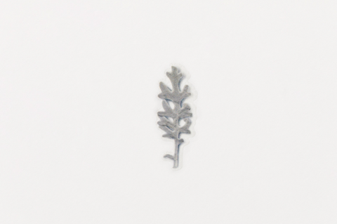 Pressed Flower Sticker [Dusty Miller] | Printed Dried Flower Sticker