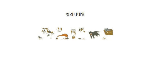 Masking Tape [65 Play with Me]