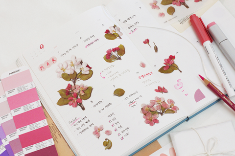 Pressed Flower Sticker [Apple Blossom] | Printed Dried Flower Sticker