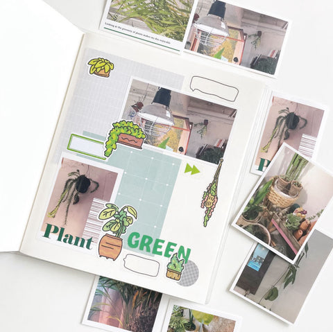 FROMYE Green Tea Sticker Pack