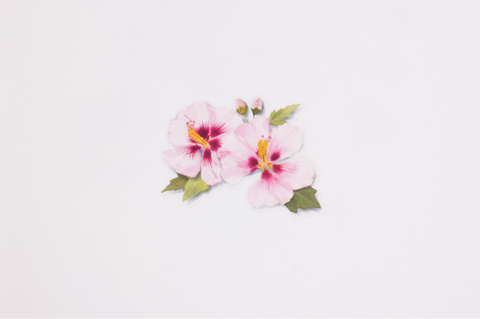 Pressed Flower Sticker [Rose of Sharon] | Printed Dried Flower Sticker