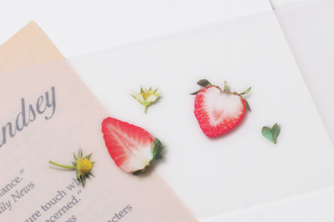 Fruit Seal Sticker [Strawberry]