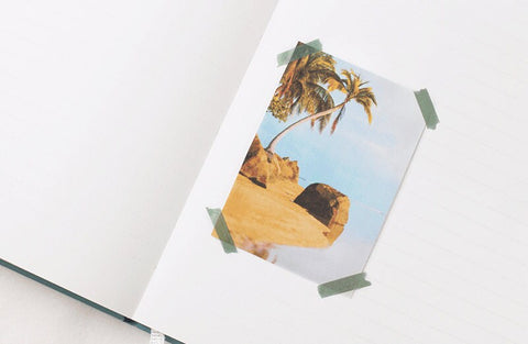 Nature Seal Sticker [Versicolor] | Rainbow Sticker