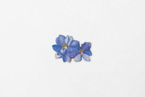 Pressed Flower Sticker [Larkspur] | Printed Dried Flower Sticker