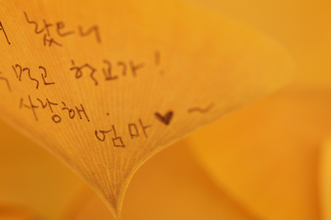 Ginkgo Sticky Notes L [2colors]