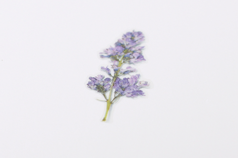 Pressed Flower Sticker [Lilac] | Printed Dried Flower Sticker