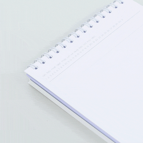 Do Weekly Daily Planner 100Days [4colors] | Desk Study Planner