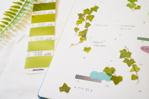 Pressed Flower Sticker [ivy] | Printed Dried Flower Sticker