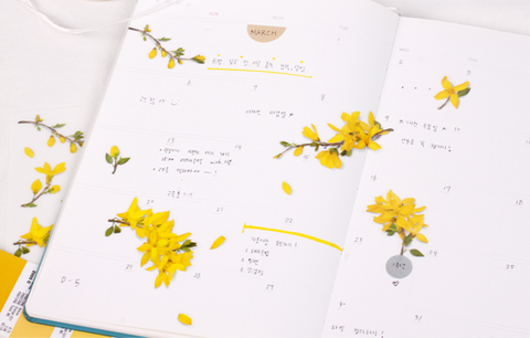 Pressed Flower Sticker [Forsythia] | Printed Dried Flower Sticker