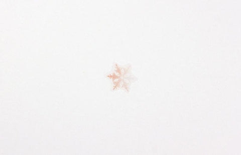 Nature Seal Sticker [Snow]