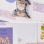 DISNEY Animal Masking Tape [3types] | Chip&Dail, Thumper, Dumbo