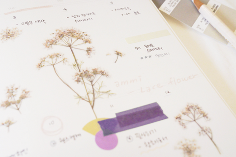 Pressed Flower Sticker [Lace Flower] | Printed Dried Flower Sticker