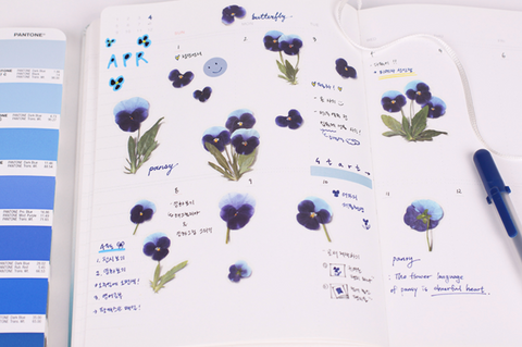 Pressed Flower Sticker [Pansy] | Printed Dried Flower Sticker