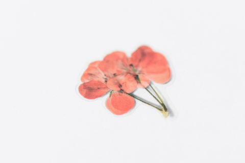 Pressed Flower Sticker [Geranium] | Printed Dried Flower Sticker