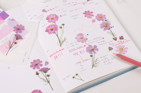 Pressed Flower Sticker [Cosmos] | Printed Dried Flower Sticker