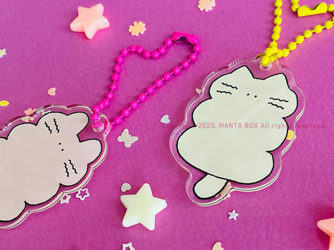 Flat Cat Acrylic Diary Charm | Kitty Key Rings