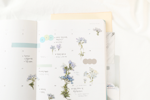 Pressed Flower Sticker [Moss Phlox] | Printed Dried Flower Sticker