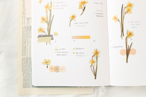 Pressed Flower Sticker [Narcissus] | Printed Dried Flower Sticker