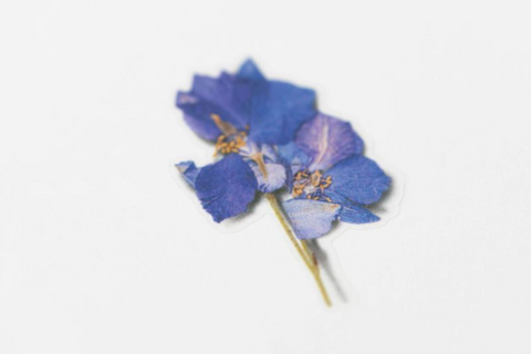 Pressed Flower Sticker [Larkspur] | Printed Dried Flower Sticker