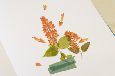 Pressed Flower Sticker [Salvia] | Printed Dried Flower Sticker