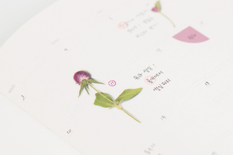 Pressed Flower Sticker [Globe Amaranth] | Printed Dried Flower Sticker