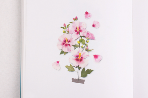 Pressed Flower Sticker [Rose of Sharon] | Printed Dried Flower Sticker