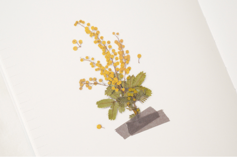 Pressed Flower Sticker [Mimosa] | Printed Dried Flower Sticker