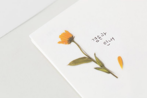 Pressed Flower Sticker [Calendula] | Printed Dried Flower Sticker
