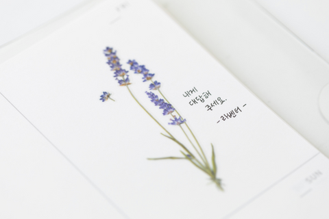 Pressed Flower Sticker [Lavender] | Printed Dried Flower Sticker