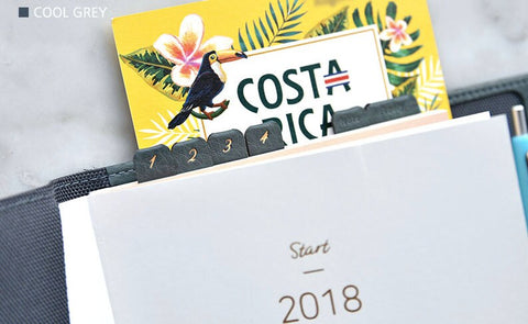 Leather Index Tab Sticker ver.4 [2colors] | Leather Texture