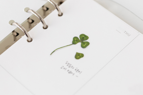 Pressed Flower Sticker [four leaf clover] | Printed Dried Flower Sticker