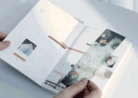 Melight Translucent Bookmark 4PCS Set | Planner Bookmark