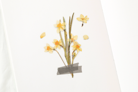 Pressed Flower Sticker [Narcissus] | Printed Dried Flower Sticker