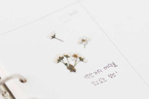 Pressed Flower Sticker [Bridal Wreath] | Printed Dried Flower Sticker