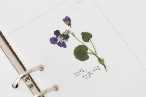 Pressed Flower Sticker [Manchurian Violet] | Printed Dried Flower Sticker