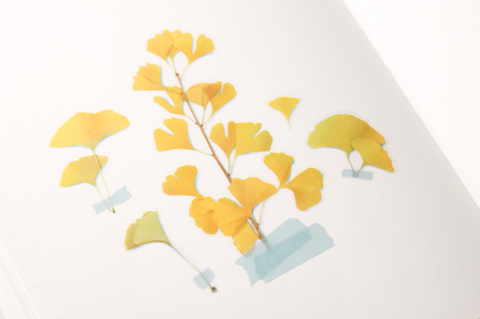 Pressed Flower Sticker [Ginkgo] | Printed Dried Flower Sticker