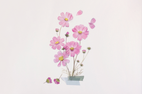 Pressed Flower Sticker [Cosmos] | Printed Dried Flower Sticker