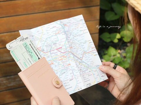 iconic Snap Passport Case [Pink] | Anti Skimming