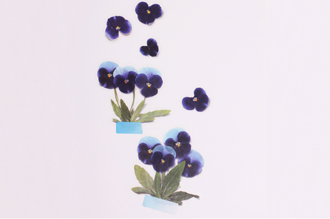 Pressed Flower Sticker [Pansy] | Printed Dried Flower Sticker
