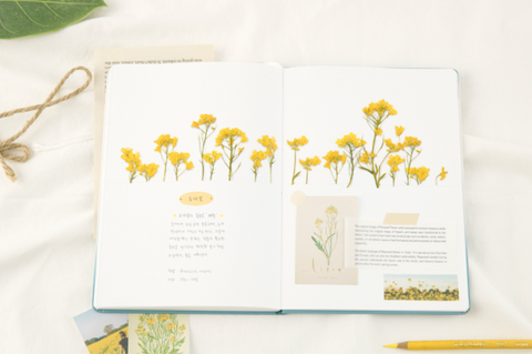 Pressed Flower Sticker [Rapeseed Flower] | Printed Dried Flower Sticker