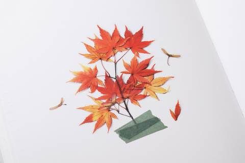 Pressed Flower Sticker [Palmate Maple] | Printed Dried Flower Sticker