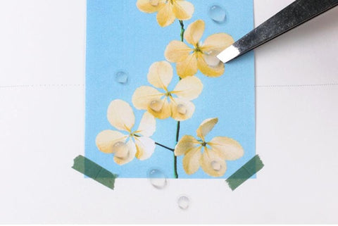 Nature Seal Sticker [Water Drop]