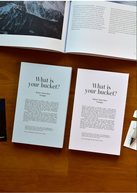 Bucket Alarm Diary [4colors] | Daily Checklist | Bucket List